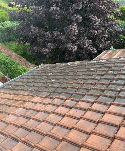 Nettoyage et traitement de charpente bois dans les Yvelines